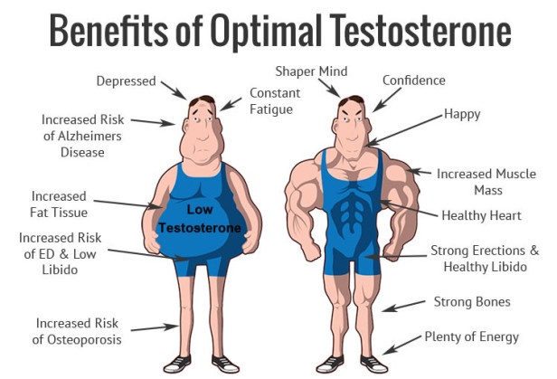 benefits of testosterone in male body
