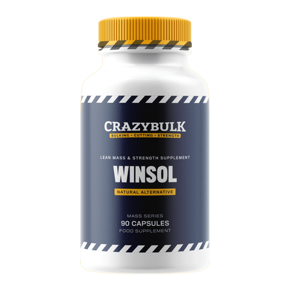 Winsol_review